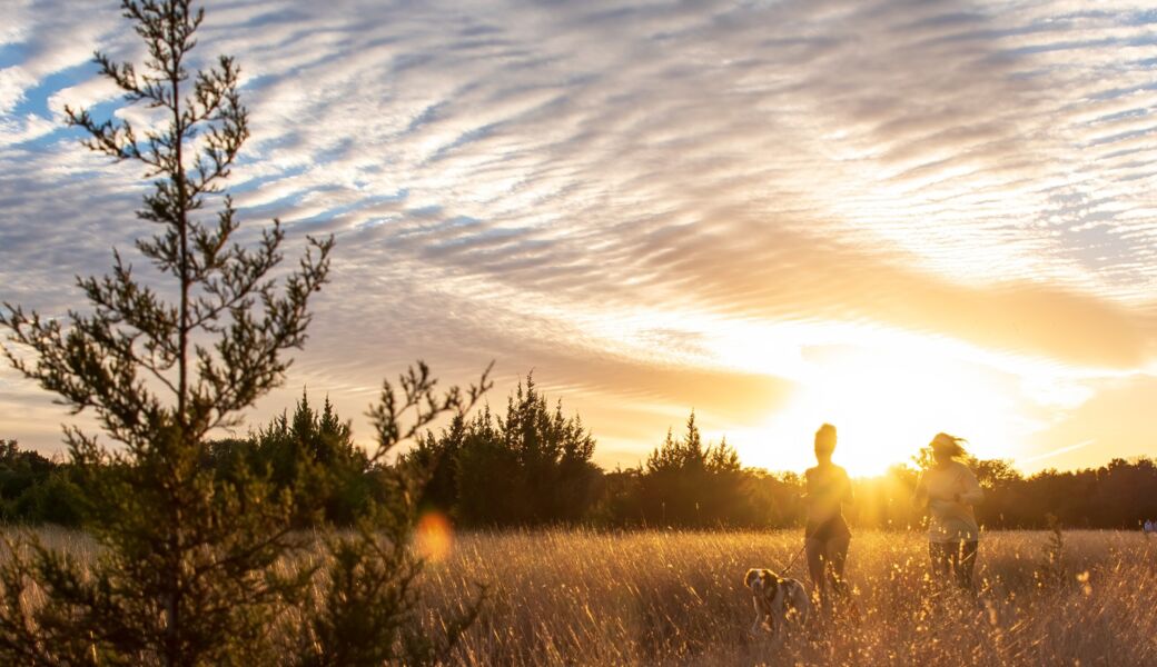 novo nordisk - sunset - trac vu - unsplash